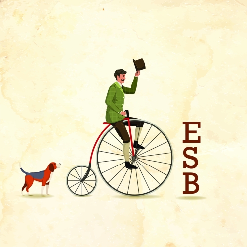 Way Ber ESB