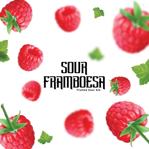 Way Beer Sour Framboesa